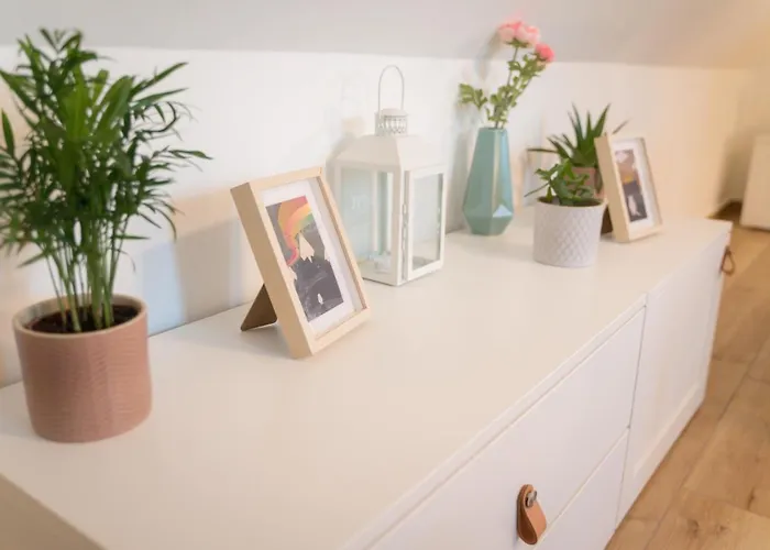 Hegyestu-laba Vendeghaz Zánka